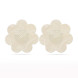 LoveToy Lace Heart and Flower Nipple Pasties Beige 2 pack